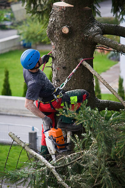 Lawn Drainage Solutions in West Concord, MA