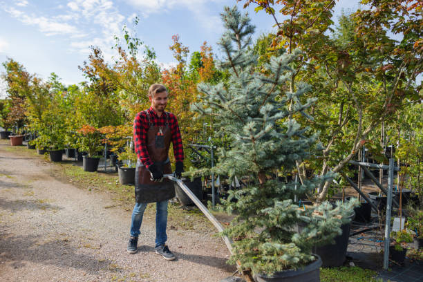 Lawn Watering Services in West Concord, MA